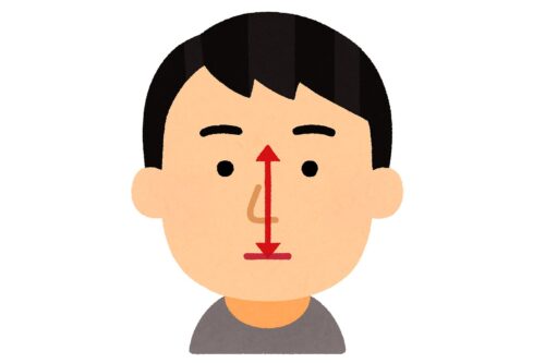 長い鼻とは?